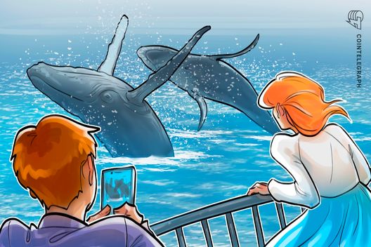 La actividad de las ballenas Bitcoin va camino de su semana más importante este año: analistas